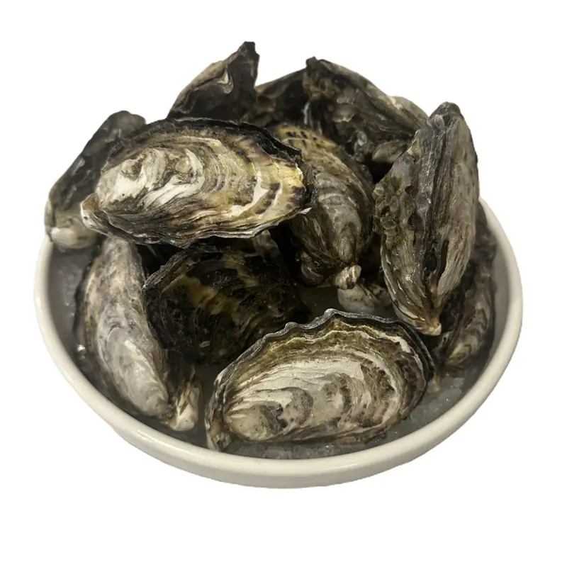 Unshucked Pacific Oysters (per dozen)